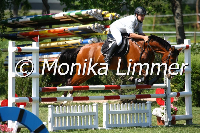 105M9933_Etoile_d Araconit_Spingpf_A.JPG